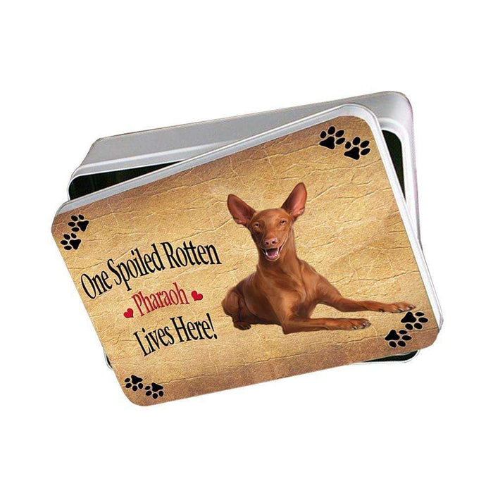 Pharaoh Spoiled Rotten Dog Photo Storage Tin