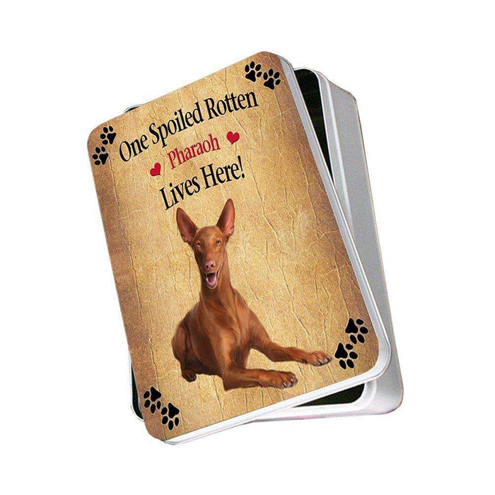 Pharaoh Spoiled Rotten Dog Photo Storage Tin