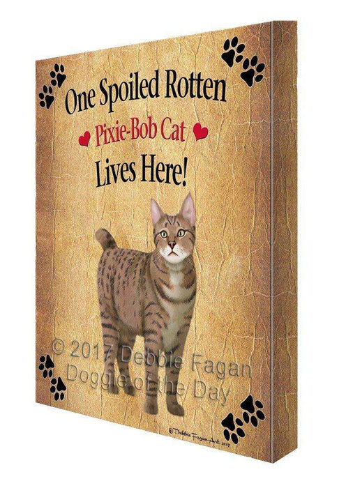 Pixie Bob Spoiled Rotten Cat Canvas Wall Art D539