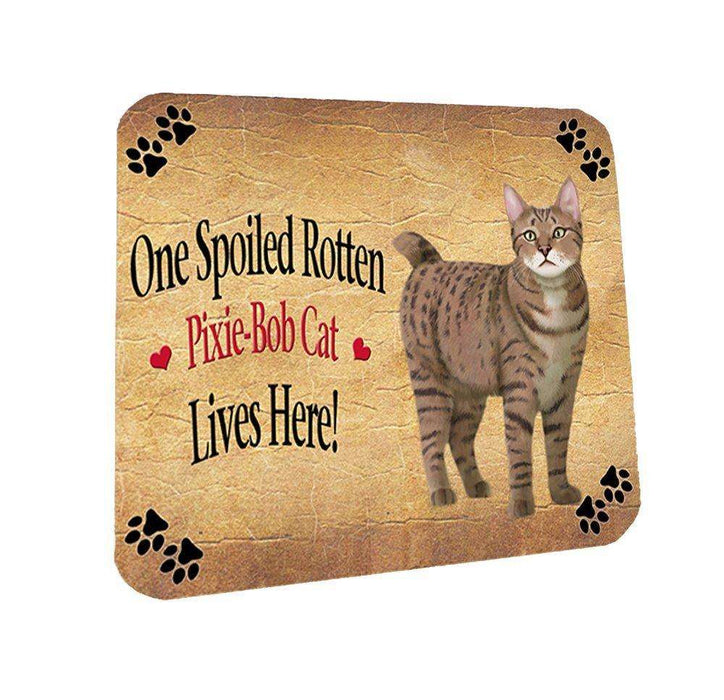 Pixie Bob Spoiled Rotten Cat Coasters Set of 4