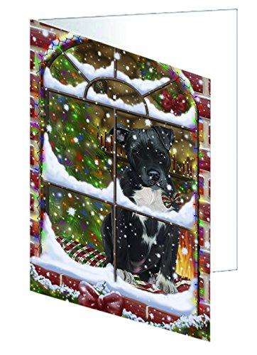 Please Come Home Christmas Happy Holidays Pit Bull Dog Handmade Artwork Assorted Pets Greeting Cards and Note Cards with Envelopes for All Occasions and Holiday Seasons GCD1650