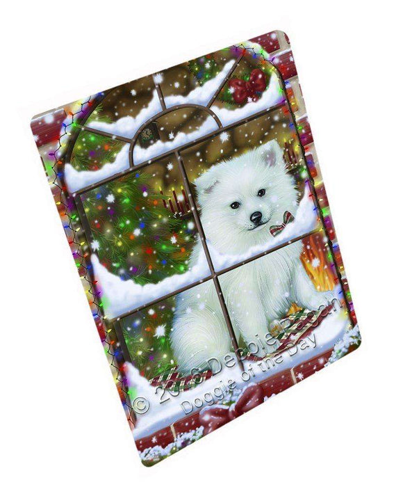 Please Come Home For Christmas American Eskimo Dog Sitting In Window Art Portrait Print Woven Throw Sherpa Plush Fleece Blanket