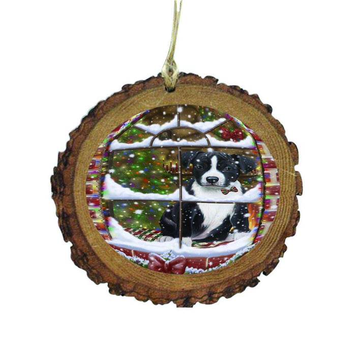 Please Come Home For Christmas American Staffordshire Dog Sitting In Window Wooden Christmas Ornament WOR49113