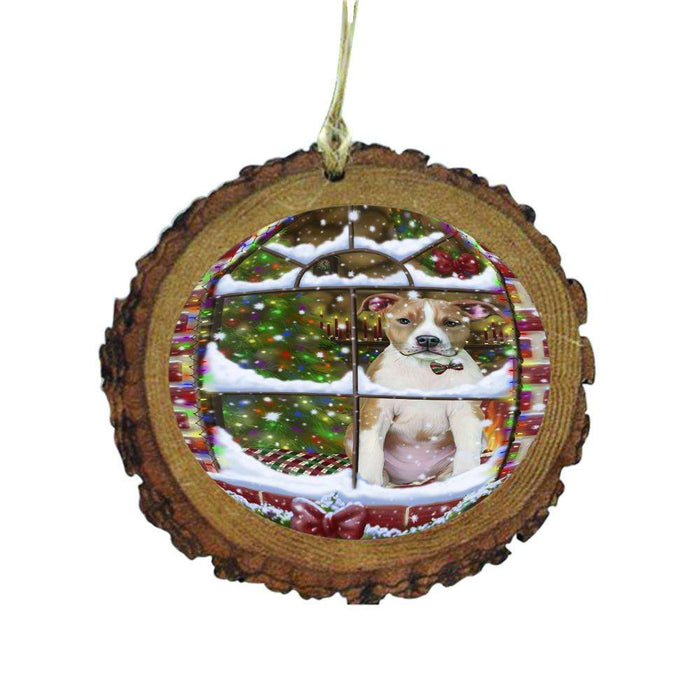 Please Come Home For Christmas American Staffordshire Dog Sitting In Window Wooden Christmas Ornament WOR49114