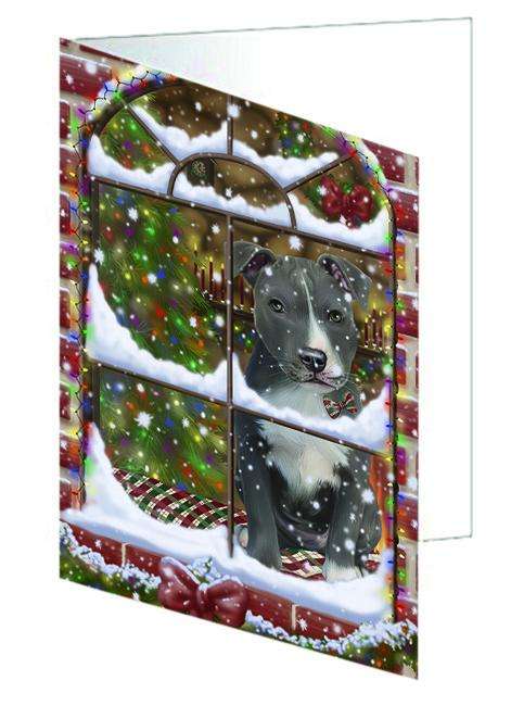 Please Come Home For Christmas American Staffordshire Terrier Dog Sitting In Window Handmade Artwork Assorted Pets Greeting Cards and Note Cards with Envelopes for All Occasions and Holiday Seasons GCD64859