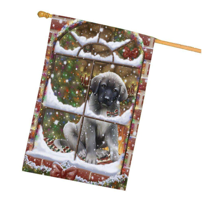 Please Come Home For Christmas Anatolian Shepherds Sitting In Window House Flag