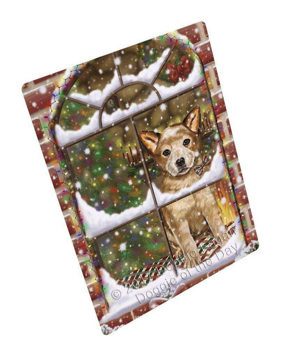Please Come Home For Christmas Australian Cattle Dog Sitting In Window Art Portrait Print Woven Throw Sherpa Plush Fleece Blanket