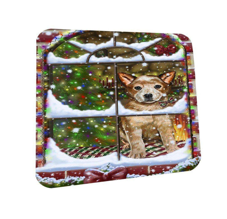 Please Come Home For Christmas Australian Cattle Dog Sitting In Window Coasters Set of 4