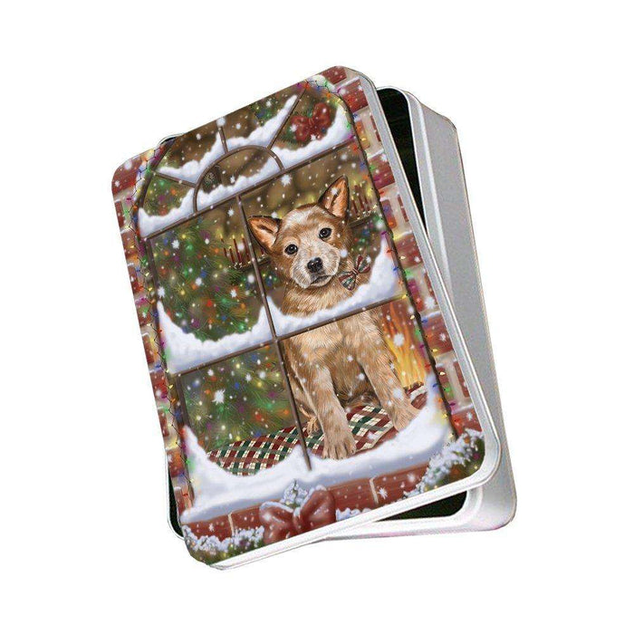 Please Come Home For Christmas Australian Cattle Dog Sitting In Window Photo Storage Tin