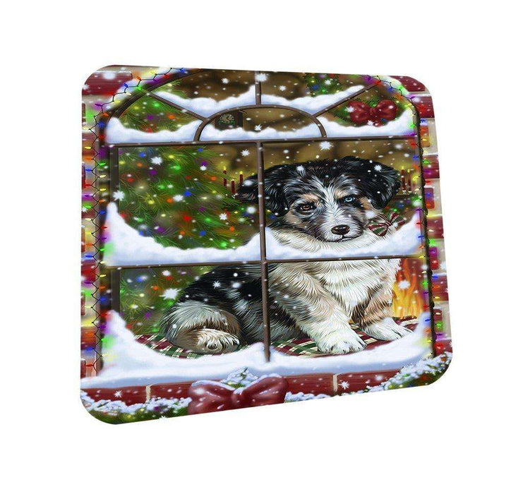 Please Come Home For Christmas Australian Shepherd Dog Sitting In Window Coasters Set of 4