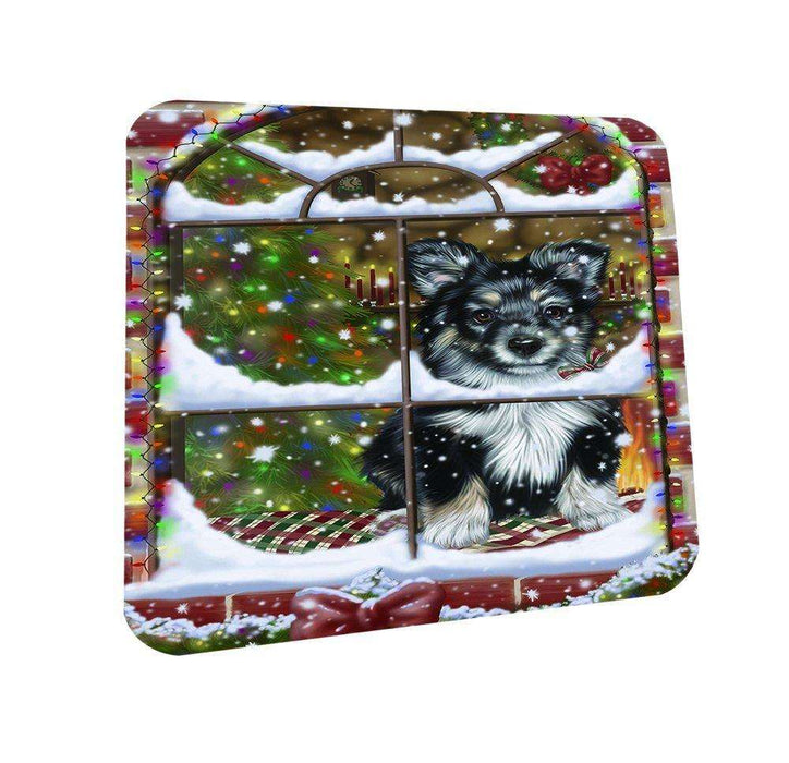 Please Come Home For Christmas Australian Shepherd Dog Sitting In Window Coasters Set of 4