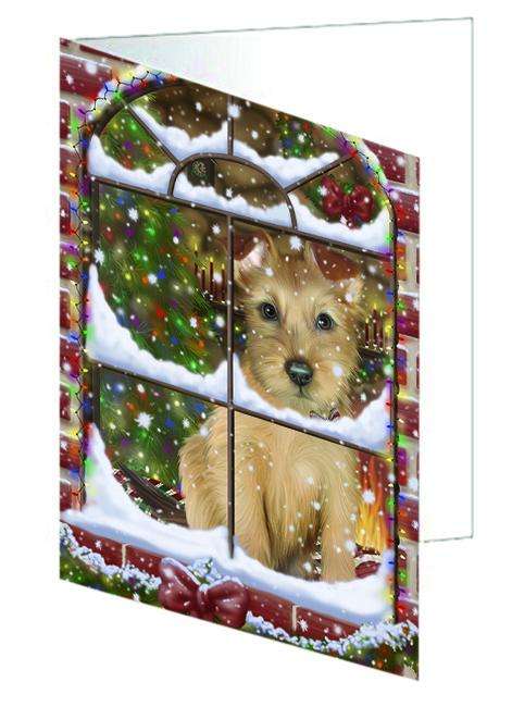 Please Come Home For Christmas Australian Terrier Dog Sitting In Window Handmade Artwork Assorted Pets Greeting Cards and Note Cards with Envelopes for All Occasions and Holiday Seasons GCD64868