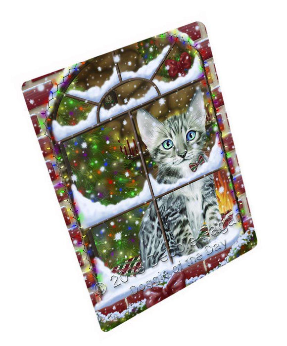 Please Come Home For Christmas Bengal Cat Sitting In Window Blanket BLNKT99876