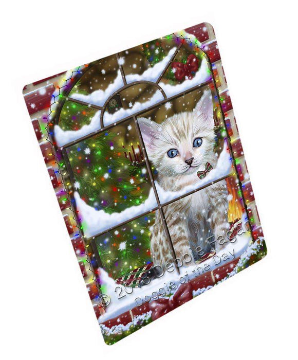 Please Come Home For Christmas Bengal Cat Sitting In Window Blanket BLNKT99885
