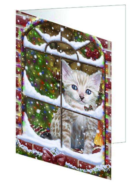 Please Come Home For Christmas Bengal Cat Sitting In Window Handmade Artwork Assorted Pets Greeting Cards and Note Cards with Envelopes for All Occasions and Holiday Seasons GCD64877