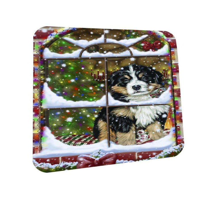 Please Come Home For Christmas Bernese Dog Sitting In Window Coasters Set of 4