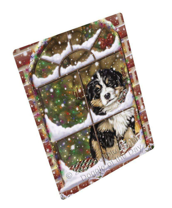 Please Come Home For Christmas Bernese Mountain Dog Sitting In Window Magnet Mini (3.5" x 2")