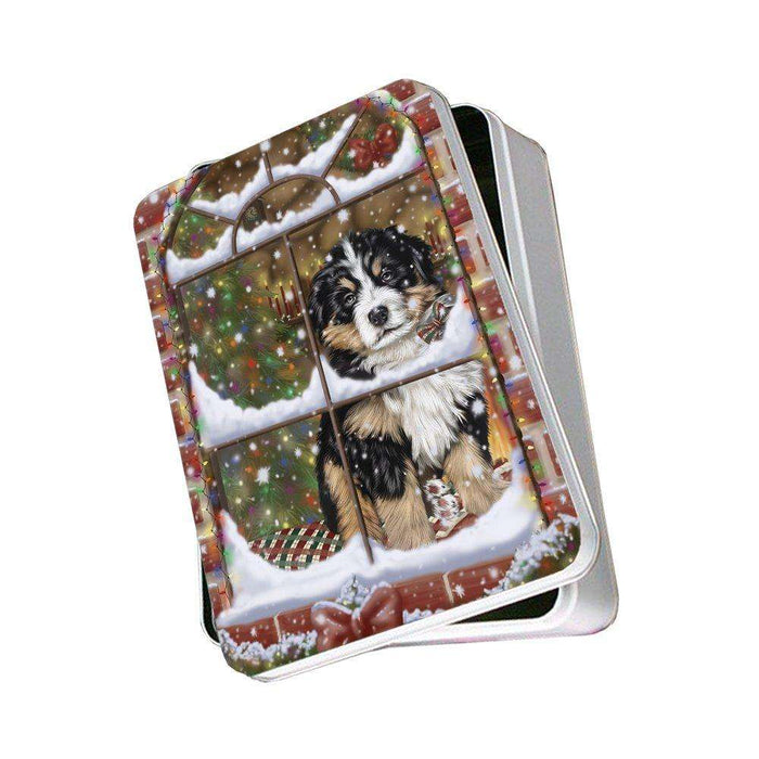 Please Come Home For Christmas Bernese Mountain Dog Sitting In Window Photo Storage Tin
