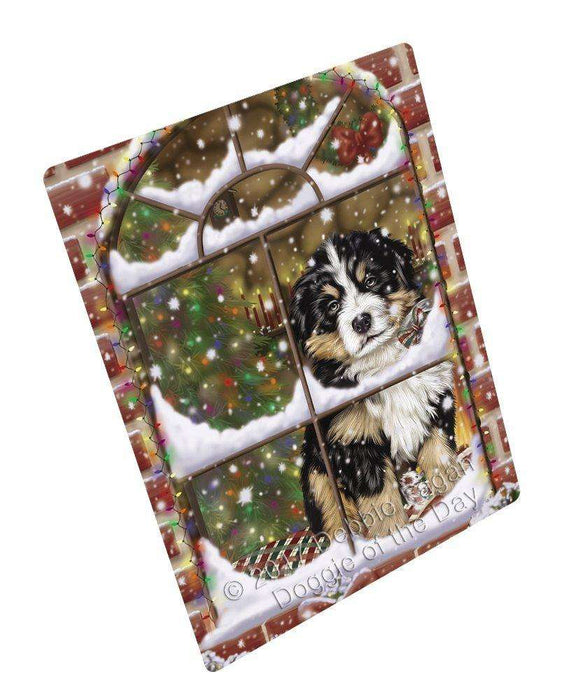 Please Come Home For Christmas Bernese Mountain Dog Sitting In Window Tempered Cutting Board