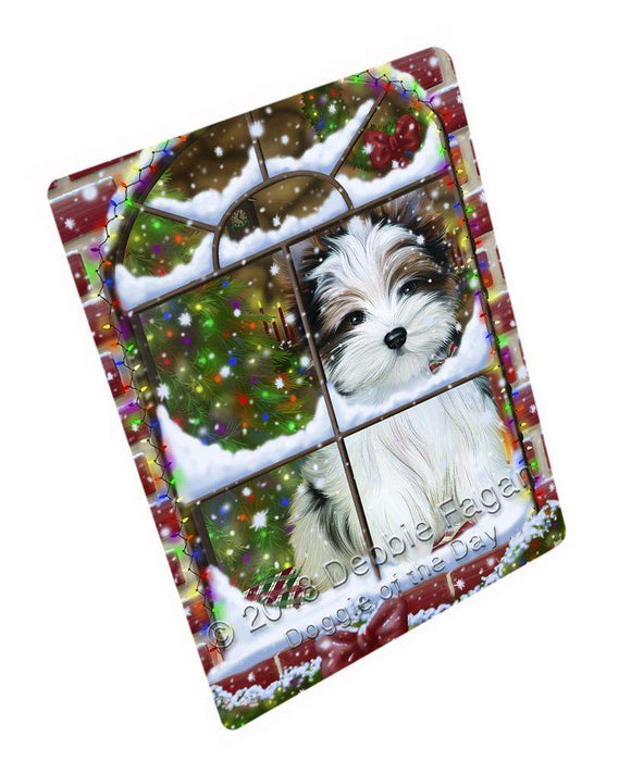 Please Come Home For Christmas Biewer Terrier Dog Sitting In Window Blanket BLNKT99894
