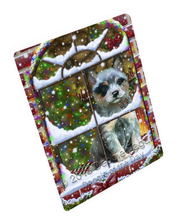 Please Come Home For Christmas Blue Heeler Dog Sitting In Window Blanket BLNKT99930