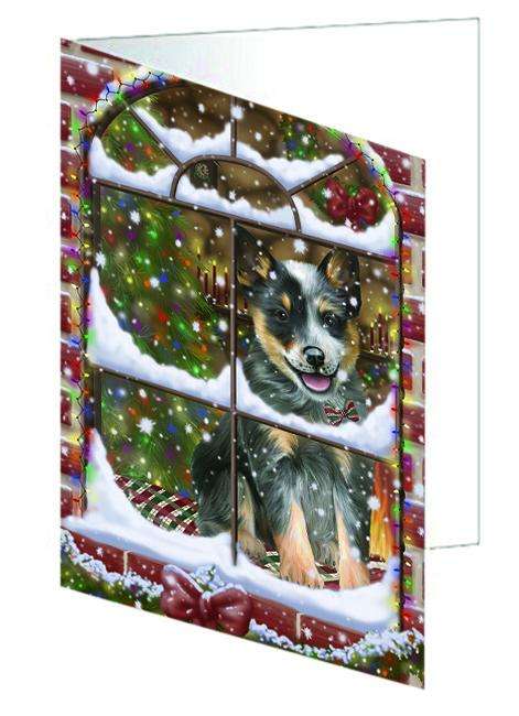 Please Come Home For Christmas Blue Heeler Dog Sitting In Window Handmade Artwork Assorted Pets Greeting Cards and Note Cards with Envelopes for All Occasions and Holiday Seasons GCD64886