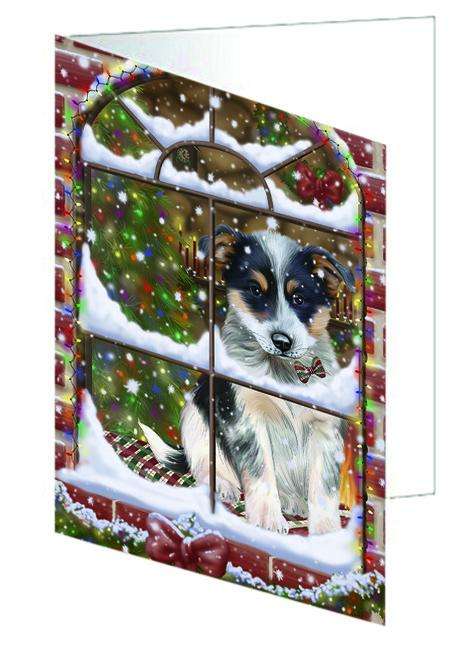 Please Come Home For Christmas Blue Heeler Dog Sitting In Window Handmade Artwork Assorted Pets Greeting Cards and Note Cards with Envelopes for All Occasions and Holiday Seasons GCD64889