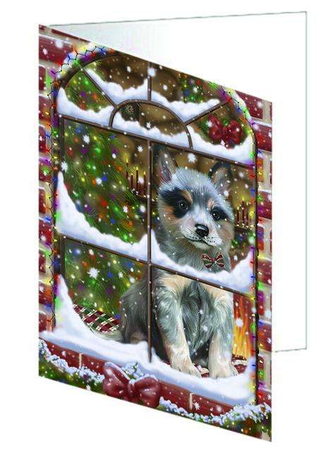 Please Come Home For Christmas Blue Heeler Dog Sitting In Window Handmade Artwork Assorted Pets Greeting Cards and Note Cards with Envelopes for All Occasions and Holiday Seasons GCD64892