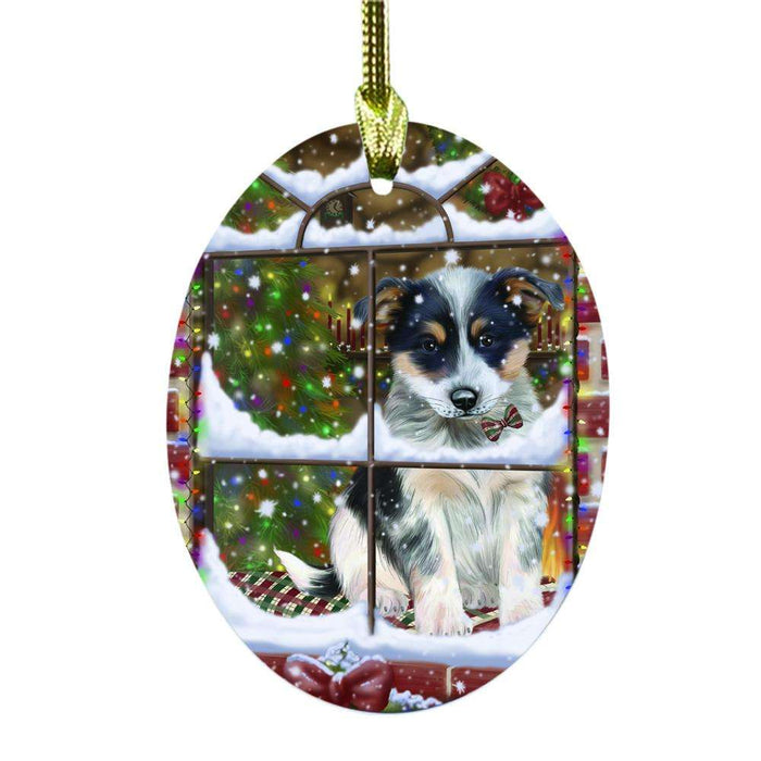 Please Come Home For Christmas Blue Heeler Dog Sitting In Window Oval Glass Christmas Ornament OGOR49139