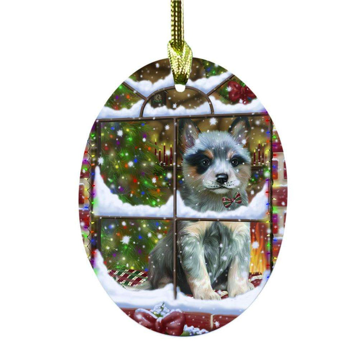 Please Come Home For Christmas Blue Heeler Dog Sitting In Window Oval Glass Christmas Ornament OGOR49140