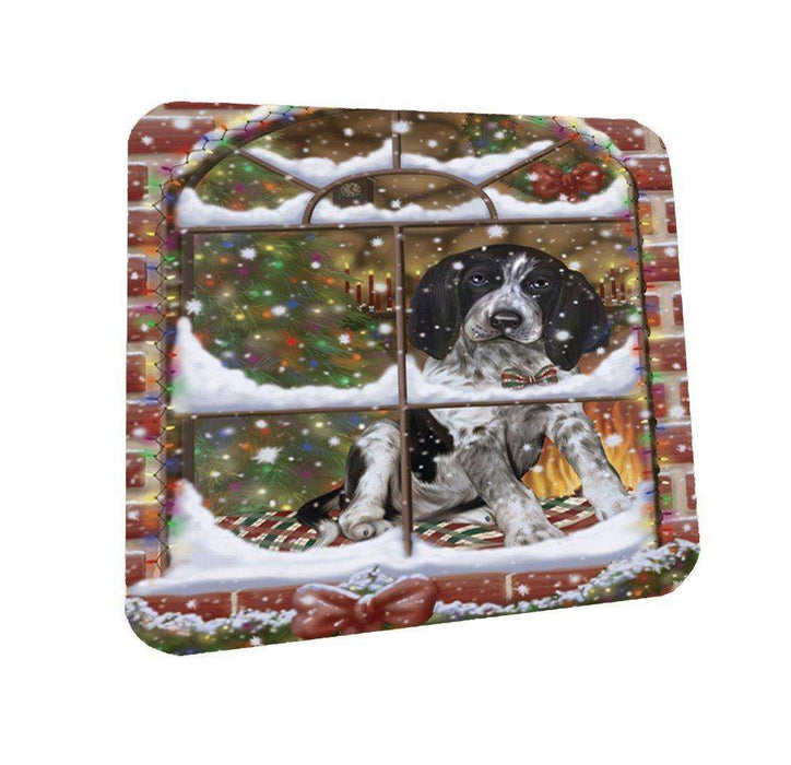 Please Come Home For Christmas Bluetick Coonhound Dog Sitting In Window Coasters Set of 4