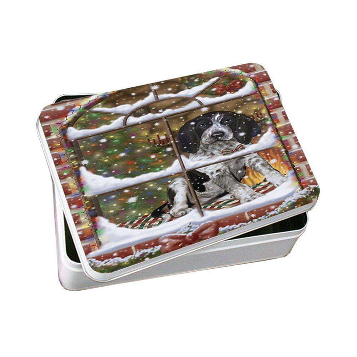Please Come Home For Christmas Bluetick Coonhound Sitting In Window Photo Storage Tin