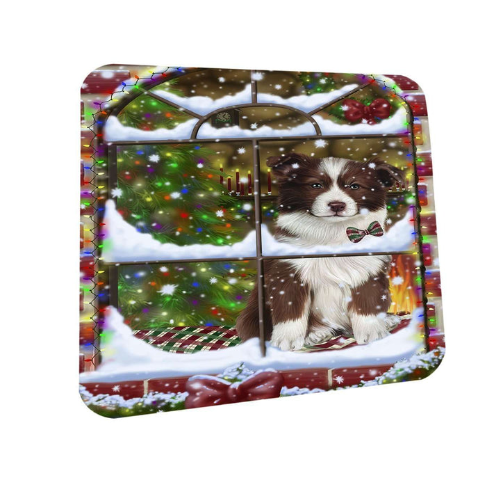 Please Come Home For Christmas Border Collie Dog Sitting In Window Coasters Set of 4 CST48337