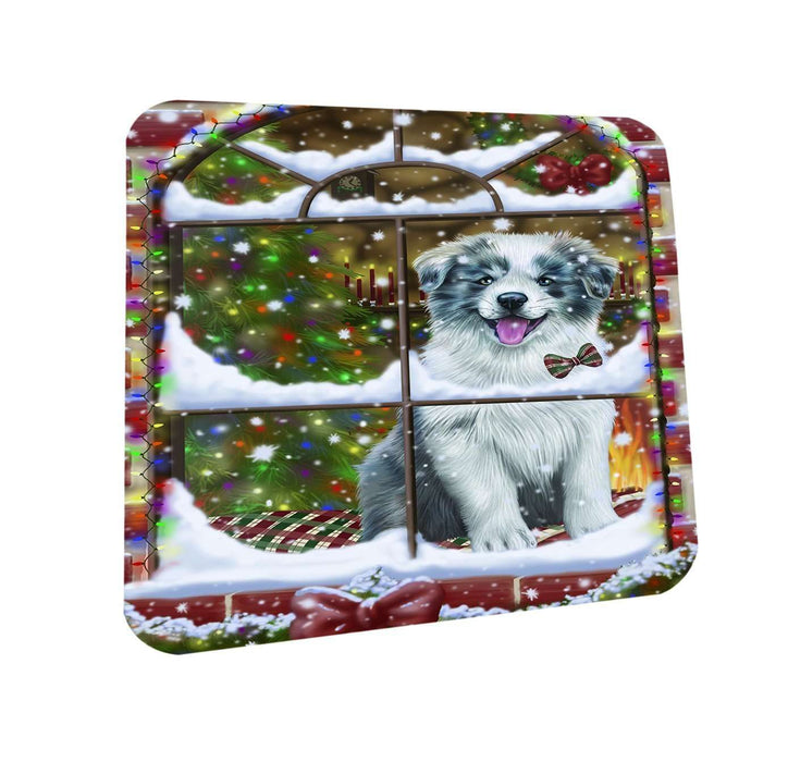 Please Come Home For Christmas Border Collie Dog Sitting In Window Coasters Set of 4 CST48338