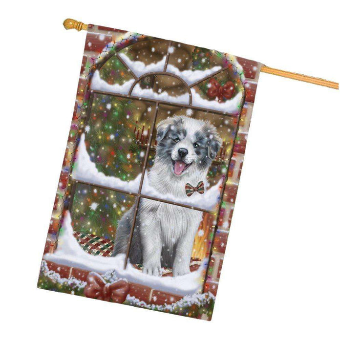 Please Come Home For Christmas Border Collie Dog Sitting In Window House Flag FLG48392