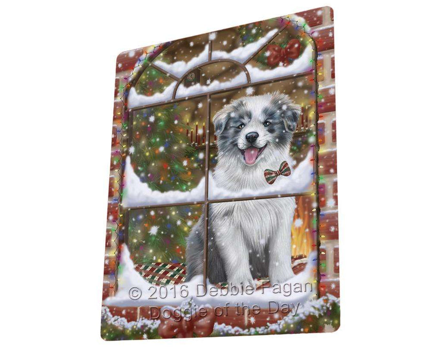 Please Come Home For Christmas Border Collie Dog Sitting In Window Magnet Mini (3.5" x 2") MAG49932