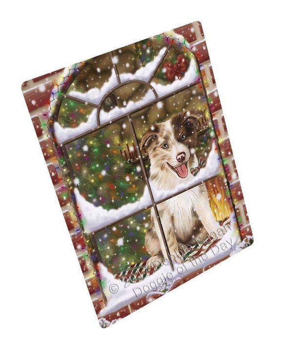 Please Come Home For Christmas Border Collies Dog Sitting In Window Art Portrait Print Woven Throw Sherpa Plush Fleece Blanket