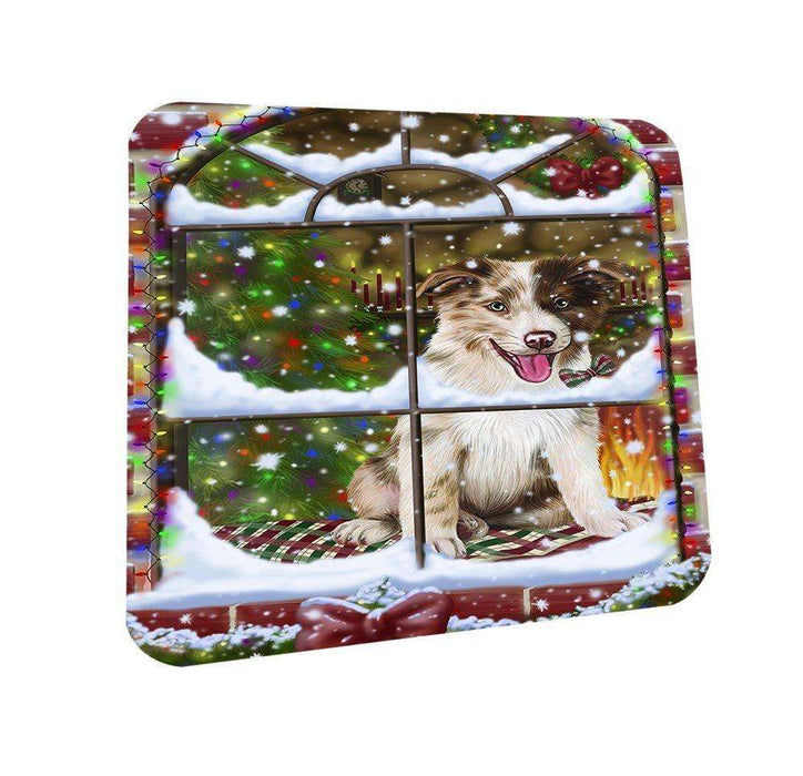 Please Come Home For Christmas Border Collies Dog Sitting In Window Coasters Set of 4