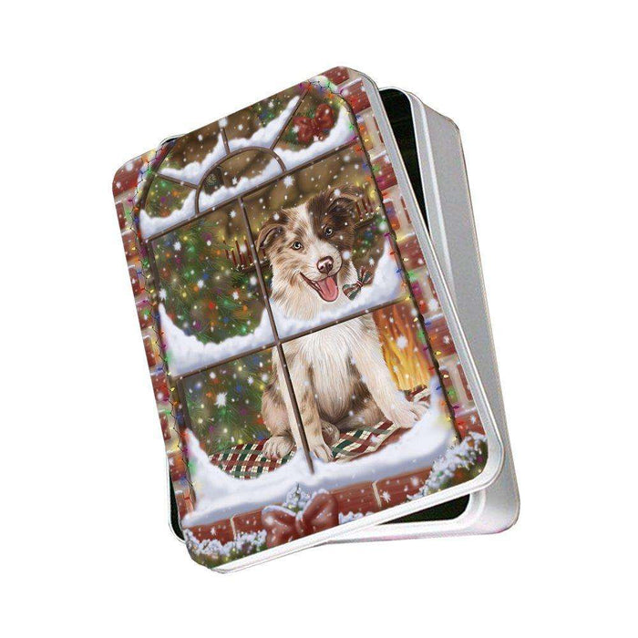 Please Come Home For Christmas Border Collies Dog Sitting In Window Photo Storage Tin