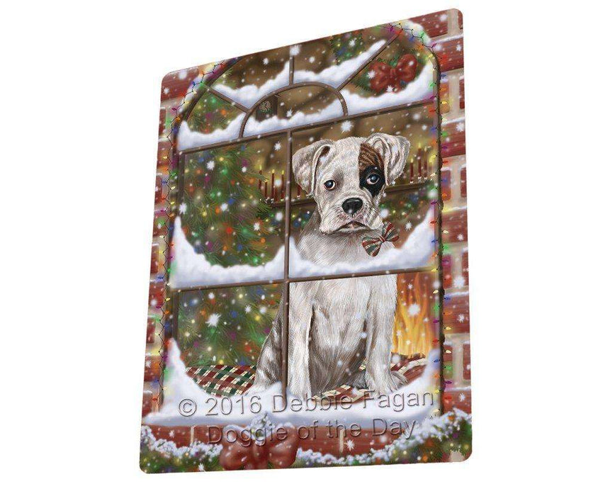 Please Come Home For Christmas Boxer Dog Sitting In Window Blanket BLNKT53814