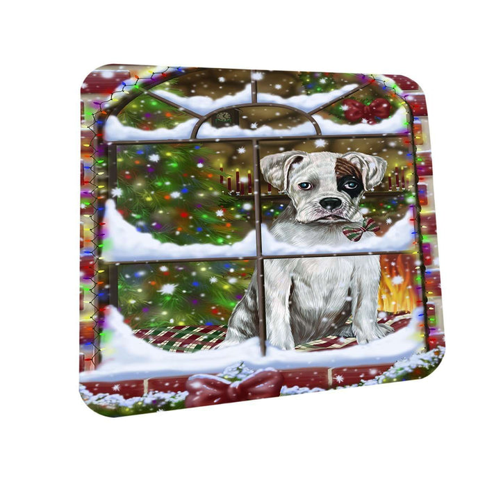 Please Come Home For Christmas Boxer Dog Sitting In Window Coasters Set of 4 CST48340