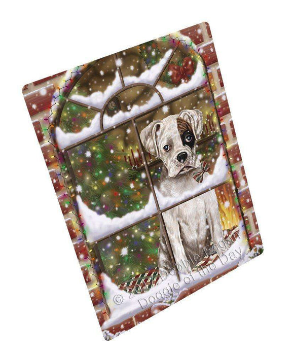 Please Come Home For Christmas Boxers Dog Sitting In Window Art Portrait Print Woven Throw Sherpa Plush Fleece Blanket