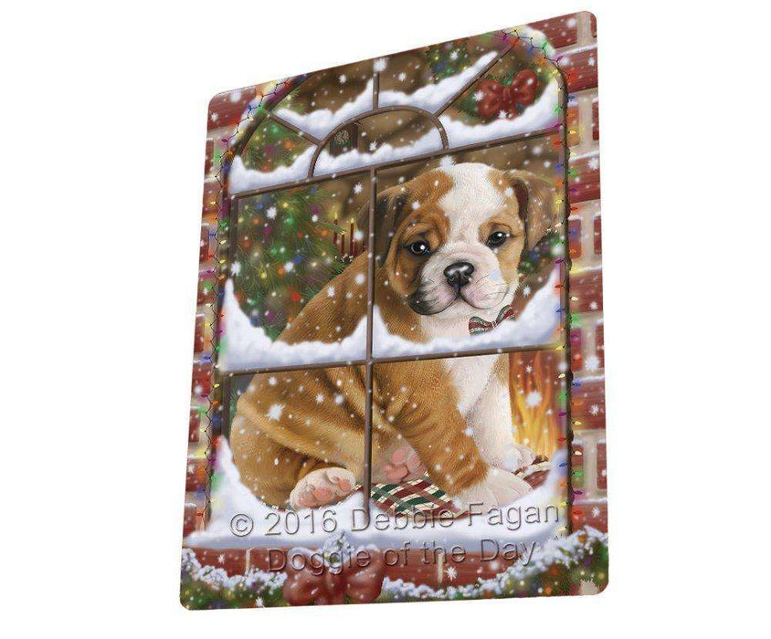 Please Come Home For Christmas Bulldog Sitting In Window Blanket BLNKT53841