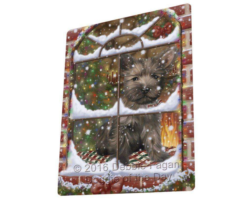 Please Come Home For Christmas Cairn Terrier Dog Sitting In Window Blanket BLNKT53859