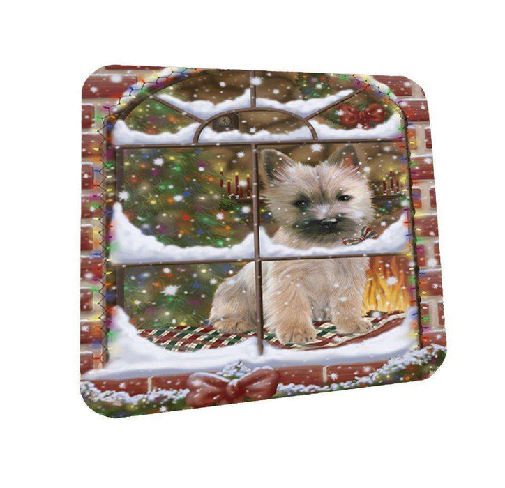 Please Come Home For Christmas Cairn Terrier Dog Sitting In Window Coasters Set of 4