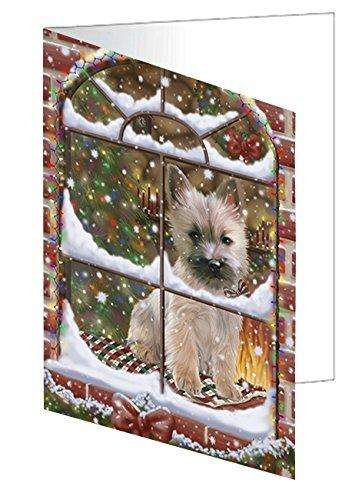 Please Come Home For Christmas Cairn Terrier Dog Sitting In Window Handmade Artwork Assorted Pets Greeting Cards and Note Cards with Envelopes for All Occasions and Holiday Seasons