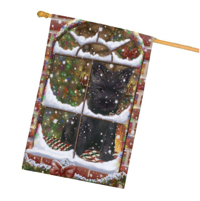 Please Come Home For Christmas Cairn Terrier Dog Sitting In Window House Flag FLG48400