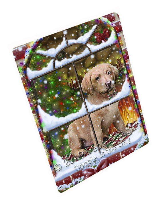 Please Come Home For Christmas Chesapeake Bay Retriever Dog Sitting In Window Art Portrait Print Woven Throw Sherpa Plush Fleece Blanket