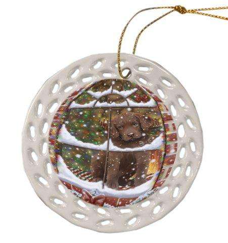 Please Come Home For Christmas Chesapeake Bay Retriever Dog Sitting In Window Ceramic Doily Ornament DPOR48556