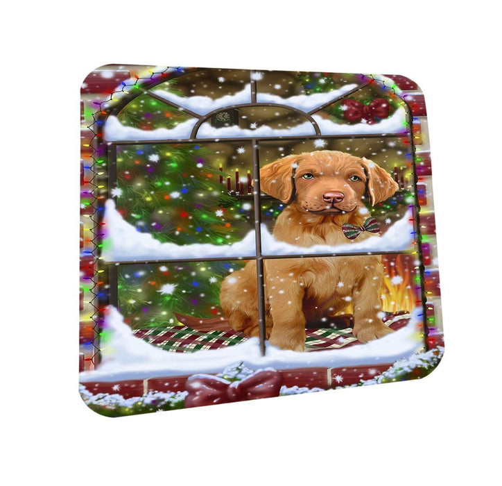 Please Come Home For Christmas Chesapeake Bay Retriever Dog Sitting In Window Coasters Set of 4 CST48351